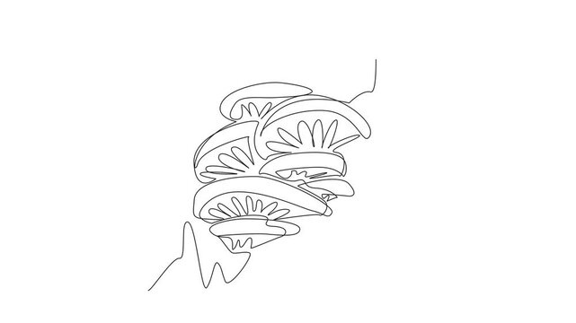 Animation of single line drawing oyster mushroom on a large tree trunk. Mushrooms with many benefits. Easy cultivation. Day of the Mushroom. Continuous line self drawing animated. Full length motion