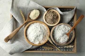 Different types of flour on light grey table, top view