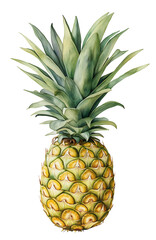 Fototapeta premium Fresh Pineapple on Dark Background