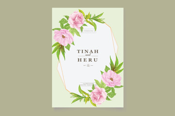 hand drawn poppy anemone background 