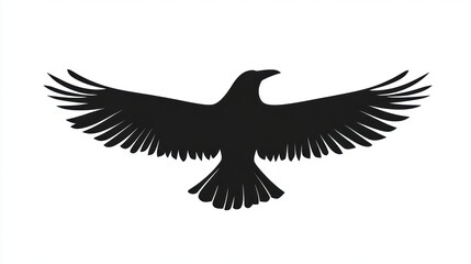 Fototapeta premium Silhouette of a soaring crow