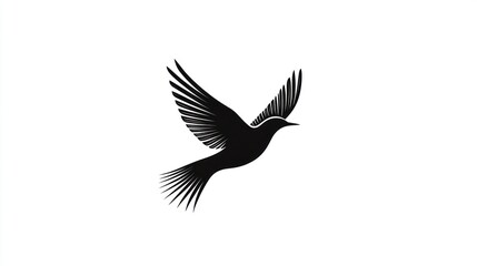 Fototapeta premium Silhouette of a bird in flight against white background. Possible use Illustration, graphic design, logo, website