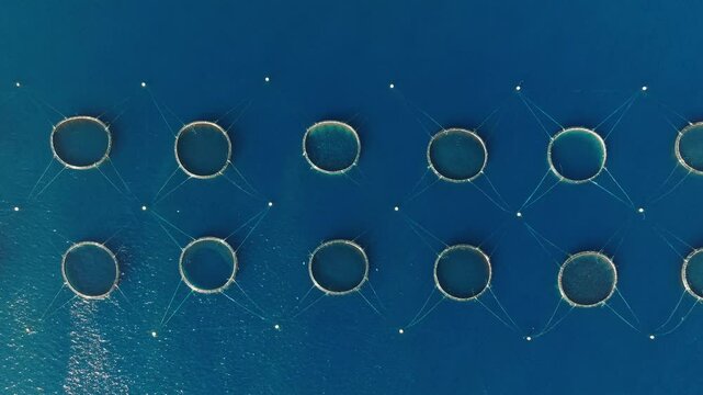 Drone top view of tuna fish farm. Mediterranean sea