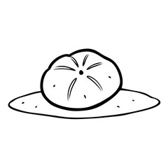 vector illustration of A sand dollar 