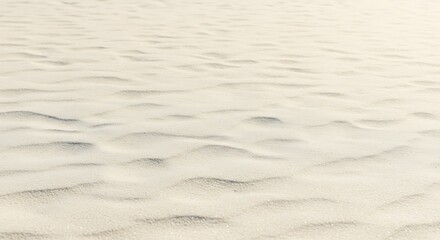 Fototapeta premium Whispers of the Sand AI Generated