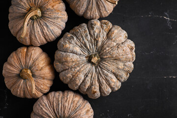Close up Thai pumpkin