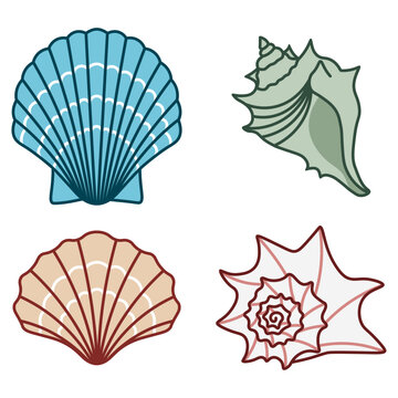 seashell flat illustration set, cute seashells