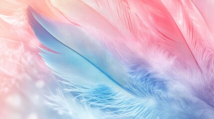 Pastel color feather abstract background