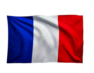 Waving french flag isolated on transparent background