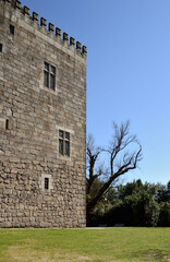 Castle Wall With Tree And