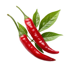 red chilli isolated on white