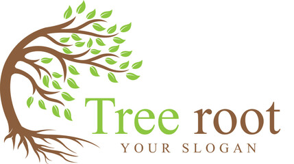 Obraz premium tree root logo