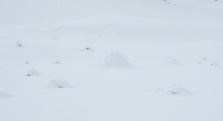 Winter's Secret Geometry AI Generated