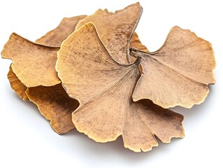 Naklejka premium Three dried ginkgo biloba leaves lie overlapping on a bright white background showcasing their intricate venation and autumnal color.