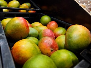 Beautiful green and red colored mangoes lie on a shelf within the fruit and vegetable section of a supermarket