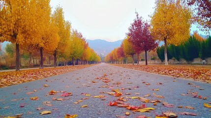 A quiet autumn road lined with colorful trees, with fallen leaves covering the asphalt. The open road and clear sky create perfect space for copy.