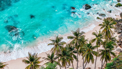 Aerial top view of a summer tropical paradise with palm trees, blue waves, and sunny white beach. summer background and summer holiday concept.