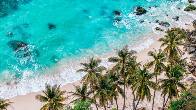 Aerial top view of a summer tropical paradise with palm trees, blue waves, and sunny white beach. summer background and summer holiday concept.