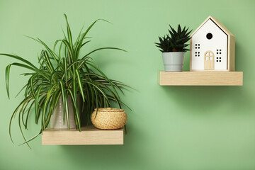 Wooden shelves with potted houseplants and decor on light green wall indoors