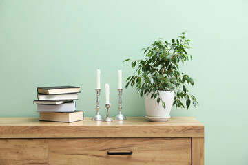 Houseplant and other decor on wooden cabinet near green wall indoors