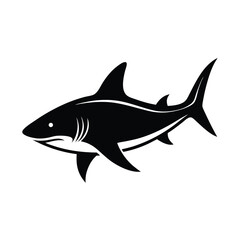 shark isolated on white