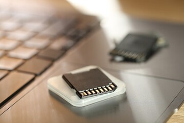 SD memory cards, holder and laptop on table, closeup