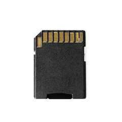 One SD memory card isolated on white, top view