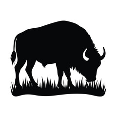 american bison vector illustration