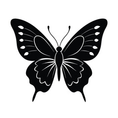 butterfly on white background