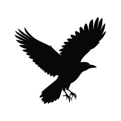 eagle vector illustration
