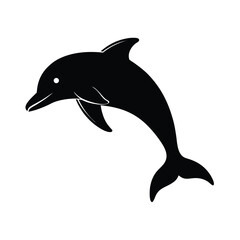 dolphin isolated on white background