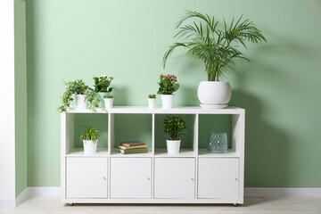 Different houseplants on white commode at home