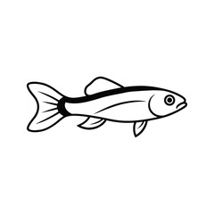 killifish fish vector line art illustration