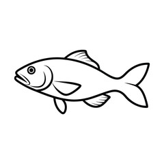walleye fish vector line art illustration