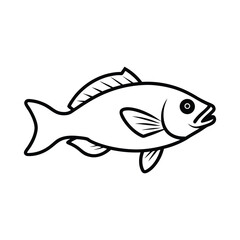 bass fish vector line art illustration