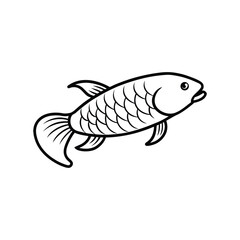 Asian arowana fish vector line art illustration