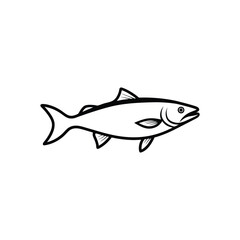 coho salmon fish vector line art illustration