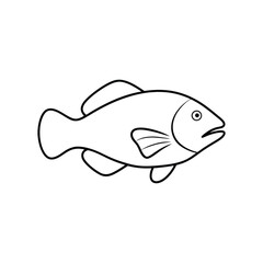 hump head wrasse fish line art vector illustration 