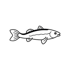 burbot fish line art vector illustration