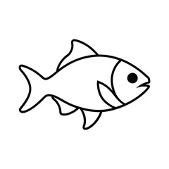 chub fish line art vector illustration