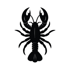 black scorpion isolated on white background