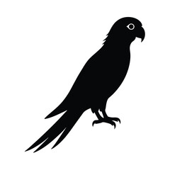 vector illustration of an eagle