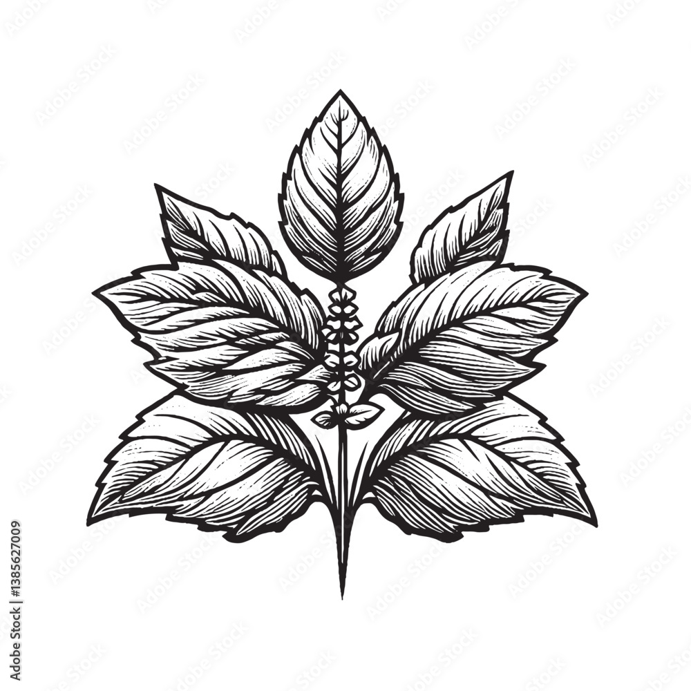 Wall mural basil leaves with single line art flower
