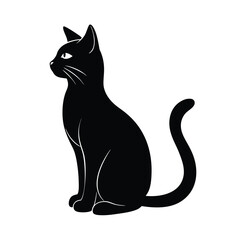 black cat on white background