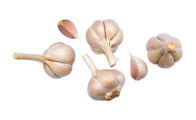 fresh garlic isolated on white background