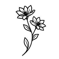 Elegant Floral Line Art: Two-Flower Illustration on White