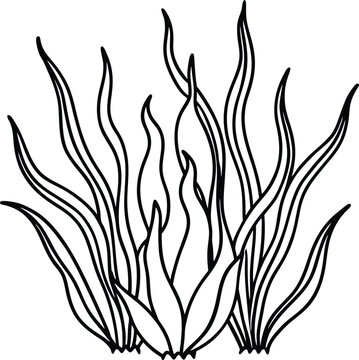 black and white seaweed outline clip art preview
