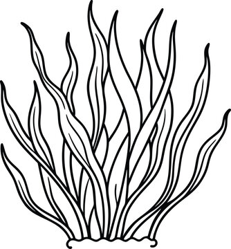black and white seaweed drawing clip art preview