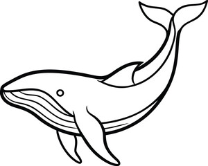 Outlined Whale Silhouette with Detailed Flipper and Tail Fin on White Background