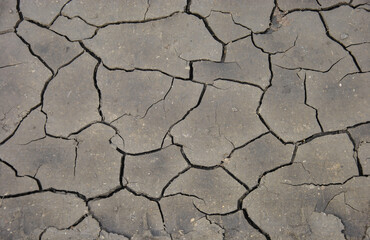 texture of dried cracked earth. cracked dry earth background